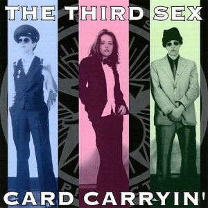 the_third_sex_96_cover.jpg
